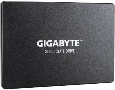 256GB GP-GSTFS31256GTND