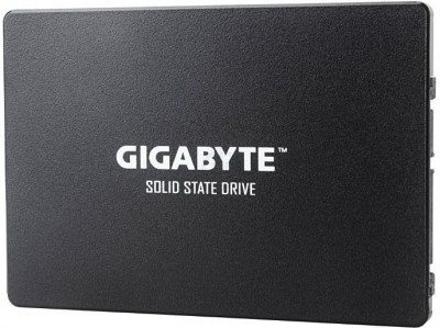 256GB GP-GSTFS31256GTND