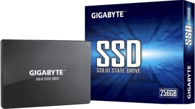 256GB GP-GSTFS31256GTND