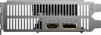 Radeon RX 6400 D6 Low Profile GV-R64D6-4GL