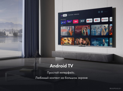 55 Smart TV S4
