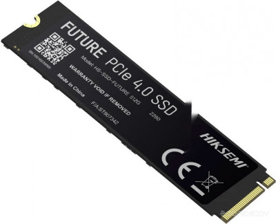 Future Eco 1TB HS-SSD-FUTURE 1024G