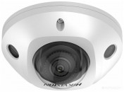 DS-2CD2543G2-IWS (4 мм)