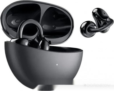 Choice Earbuds Clip (черный)