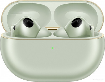 FreeBuds Pro 4 (зеленый, международная версия)