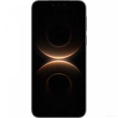 Mate 80 Pro SGT-LX9 16GB/512GB (черный, международная версия)