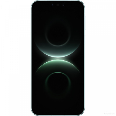Mate 80 Pro SGT-LX9 16GB/512GB (зеленый, международная версия)