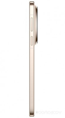 Mate 80 Pro SGT-LX9 16GB/512GB (золотистый, международная версия)