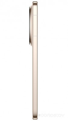 Mate 80 Pro SGT-LX9 16GB/512GB (золотистый, международная версия)