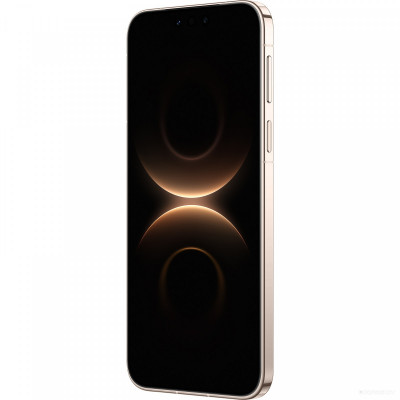 Mate 80 Pro SGT-LX9 16GB/512GB (золотистый, международная версия)