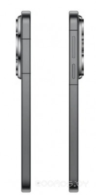 Pura 90s Pro MLN-LX9 12GB/512GB (черный, международная версия)