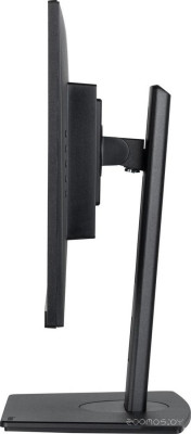 ProLite XUB2492HSU-B6