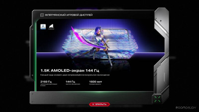 GT 30 Pro X6873 12GB/256GB (серебристый)