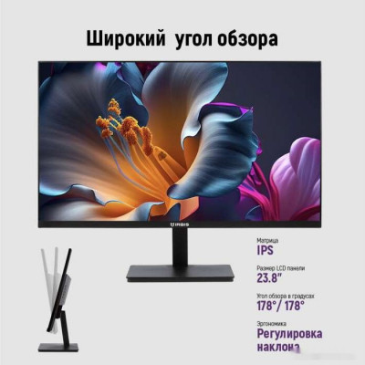 ISM24FIDVesa