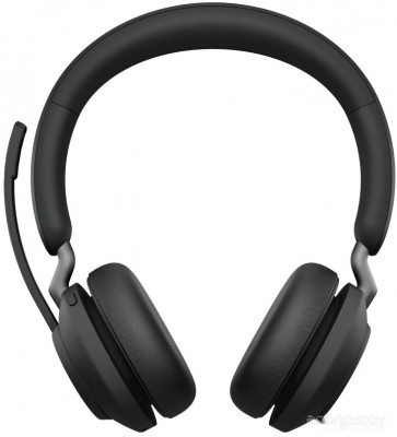 Evolve2 65 MS Stereo USB-A (черный)
