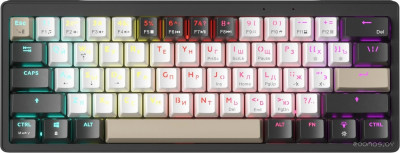 ZA61 White Black Brown (TNT Yellow)