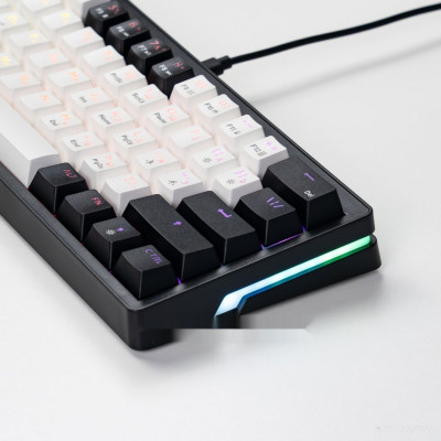 ZA61 White Black Brown (TNT Yellow)