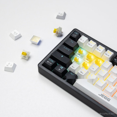 ZA61 White Black Brown (TNT Yellow)