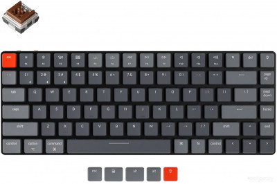 K3 V2 RGB K3-E3 (Keychron Low Profile Optical Brown, RU)