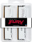 FURY Beast 2x32ГБ DDR5 6000 МГц KF560C36BWEK2-64