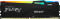 FURY Beast RGB 16ГБ DDR5 5600 МГц KF556C36BBEA-16