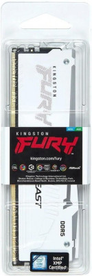 FURY Beast RGB 16ГБ DDR5 5600 МГц KF556C40BWA-16
