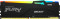 FURY Beast RGB 32ГБ DDR5 6400 МГц KF564C32BBEA-32