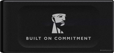 XS1000 2TB SXS1000/2000GA