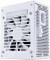 SP750 V2 750 G9P.SP0750G.W000.RU