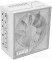 SX Platinum 1000 G9P.SX1000P.W000.RU