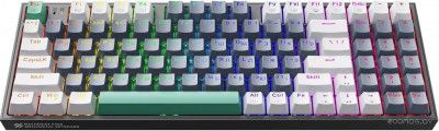 K500-B94 Moonstone