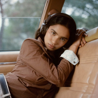 Major V (коричневый)