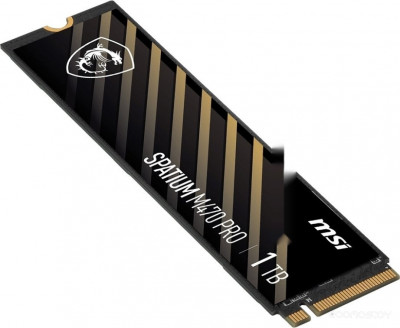 Spatium M470 Pro 1TB S78-440L0J0-P83