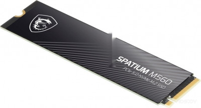 Spatium M560 2TB S78-440Q940-P83