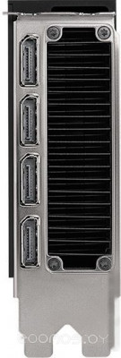 RTX 6000 Ada Generation 48GB GDDR6 900-5G133-2250-000