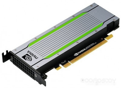 Tesla T4 16GB GDDR6 900-2G183-6300-T00