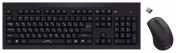 210 M Wireless Keyboard&Optical Mouse Black USB