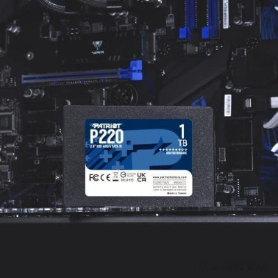 P220 1TB P220S1TB25