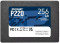 P220 256GB P220S256G25