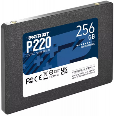 P220 256GB P220S256G25