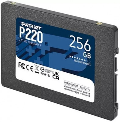 P220 256GB P220S256G25