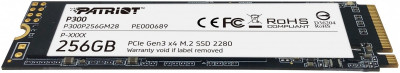 P300 256GB P300P256GM28