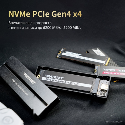 P400 V4 500GB P400VP500GM28H