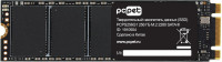 256GB PCPS256G1