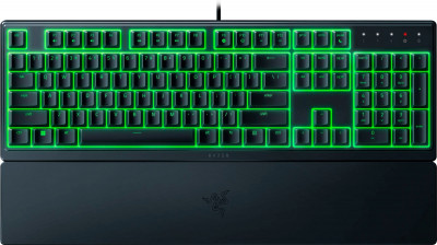 Ornata V3 X (нет кириллицы)