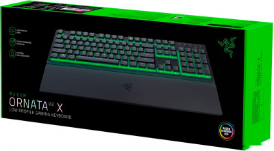 Ornata V3 X (нет кириллицы)