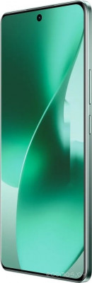 15 Pro 5G RMX5101 8GB/256GB международная версия (зеленый)