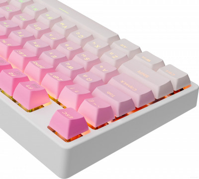 Cass (розовый)