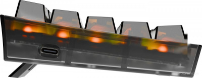 Fizz (прозрачный/черный)