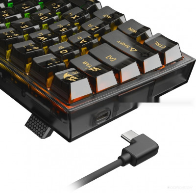 Fizz (прозрачный/черный)